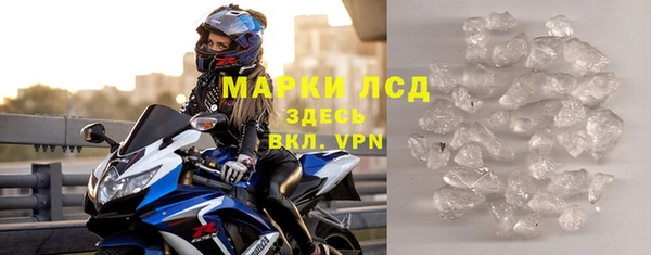 прущие грибы Арсеньев