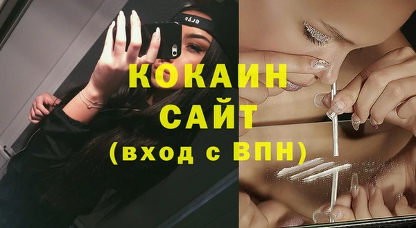 прущие грибы Арсеньев