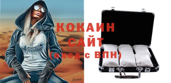 индика Алексин