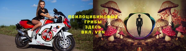 прущие грибы Арсеньев