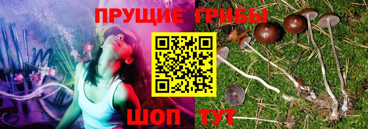 Галлюциногенные грибы MAGIC MUSHROOMS Майкоп