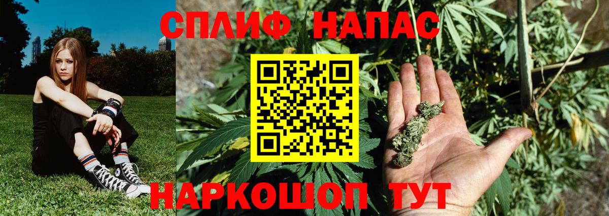 Майкоп  Марихуана Ganja  Бошки Шишки семена  Вход с VPN 